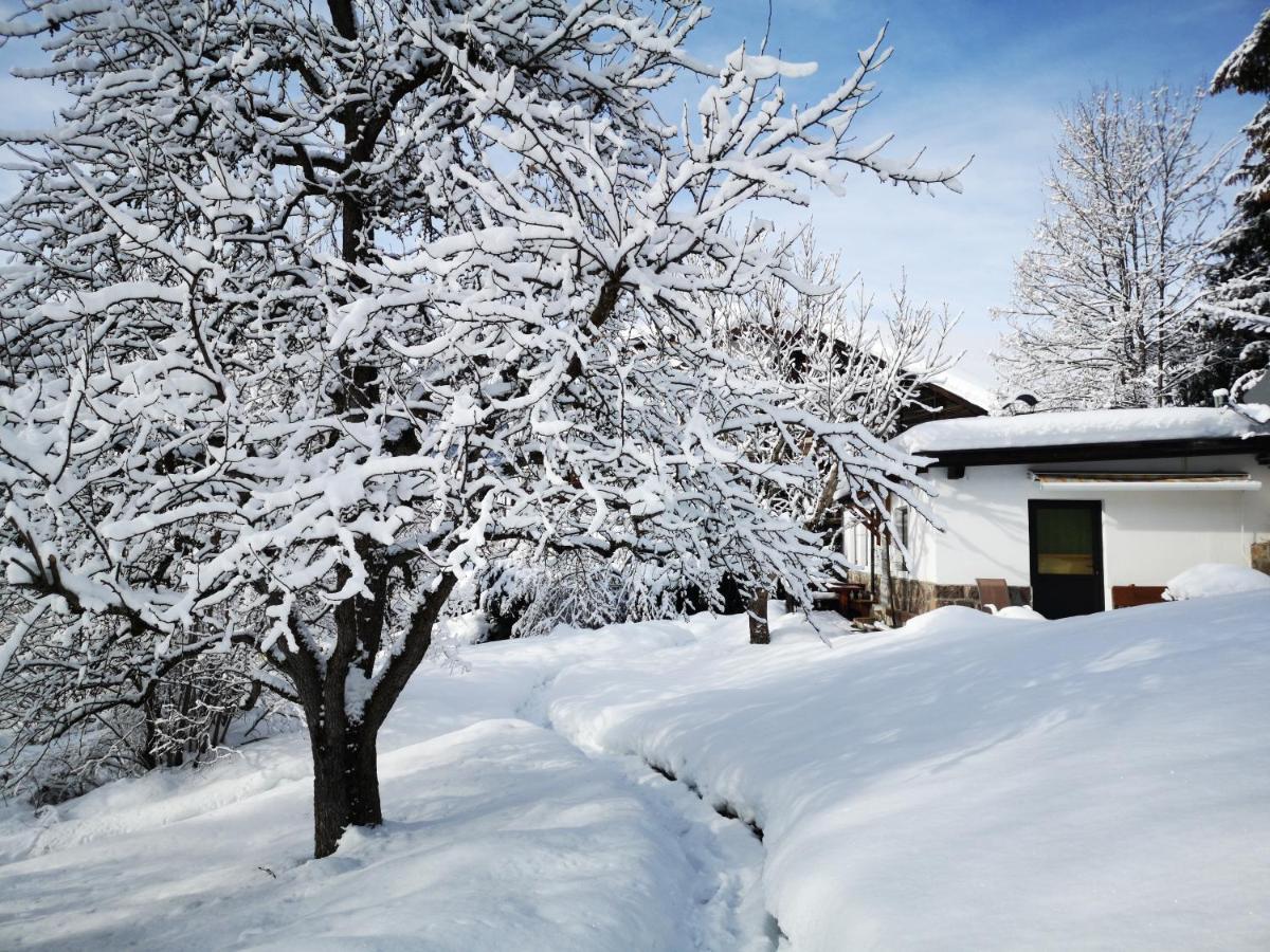 Appartchalet La Rondula Ortisei Exterior photo