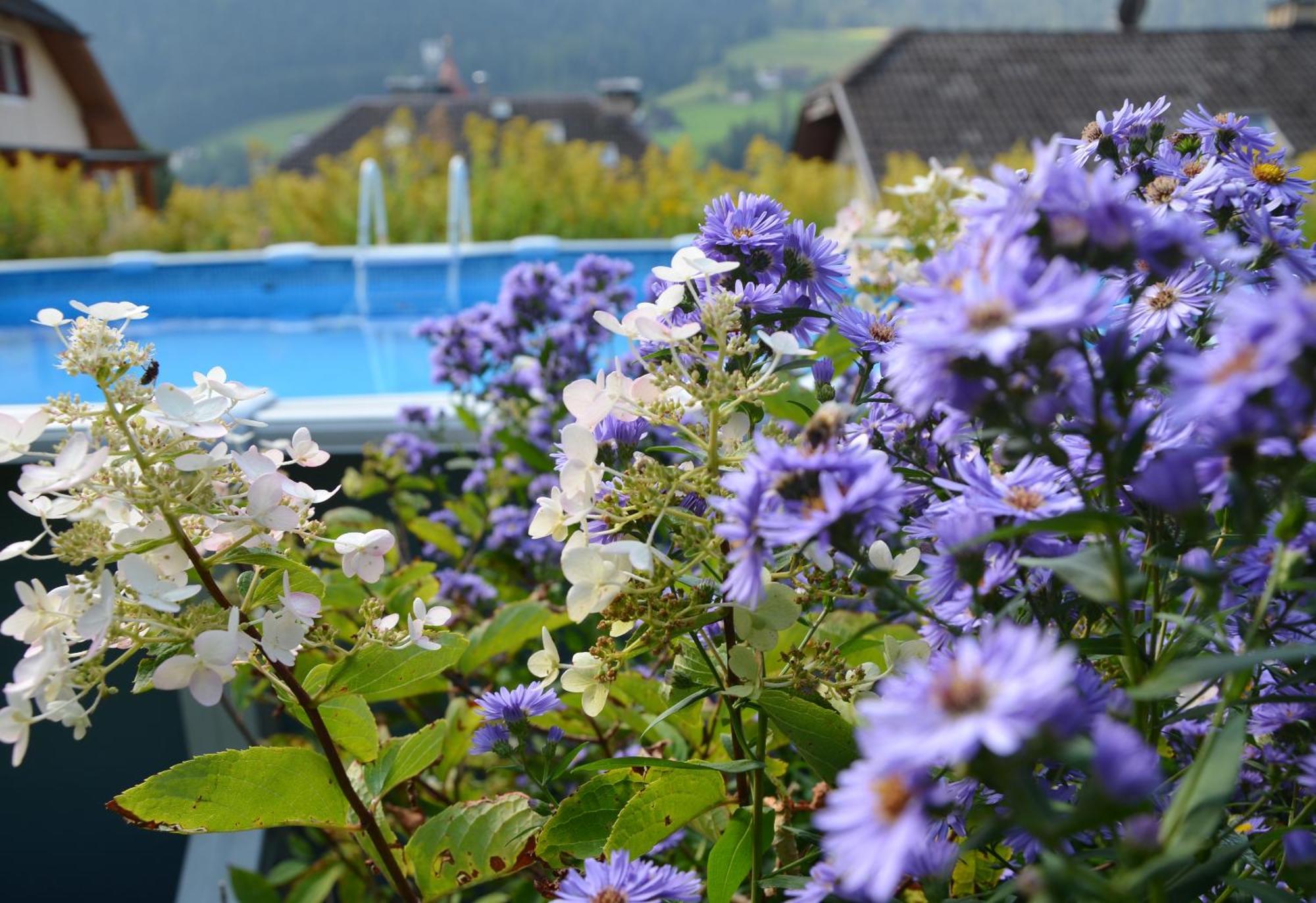Appartchalet La Rondula Ortisei Exterior photo